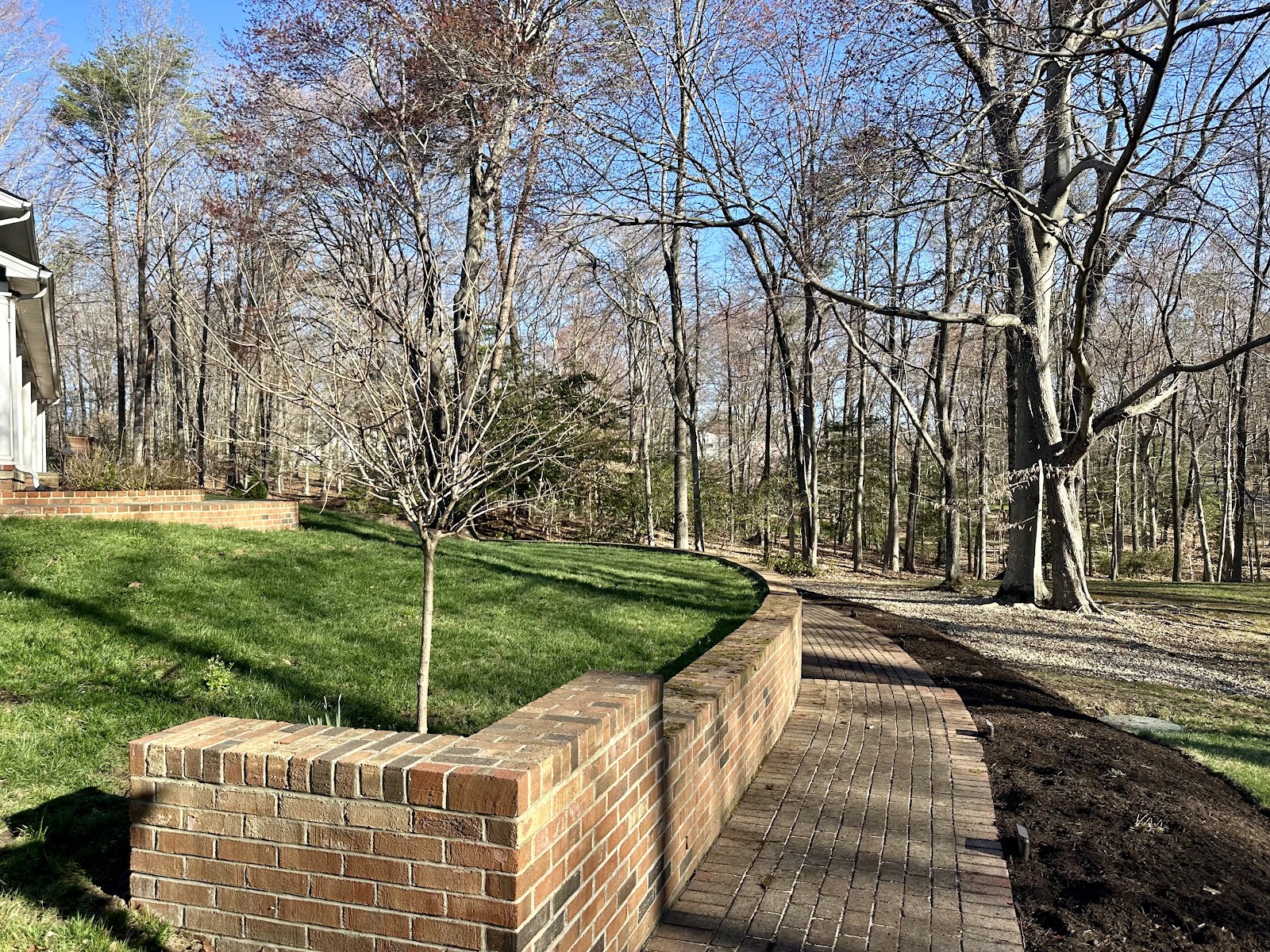 Brick retaining wall and paver walkway with new sod